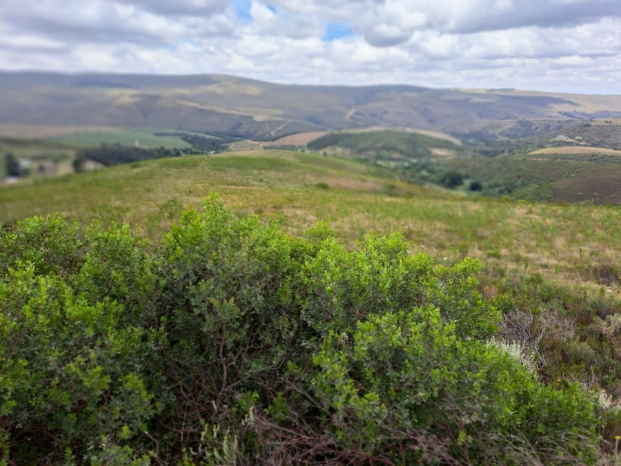 3 Bedroom Property for Sale in Riversdale Rural Western Cape